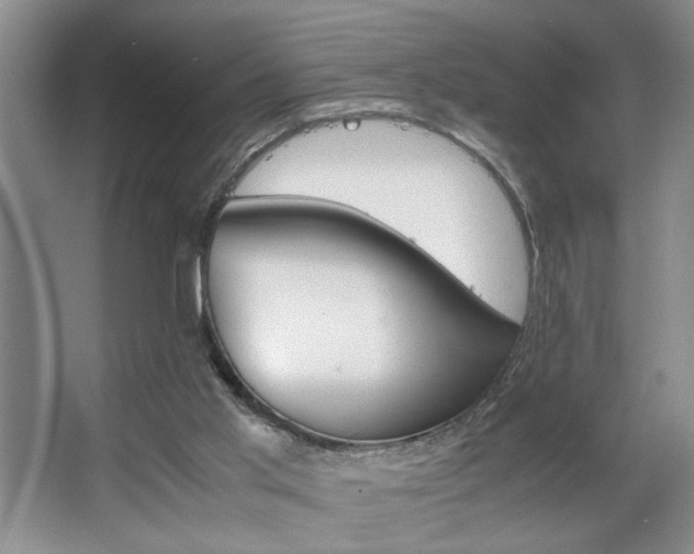 X0000063500013200601201425