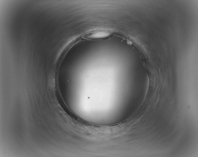 X0000063500015200601201424