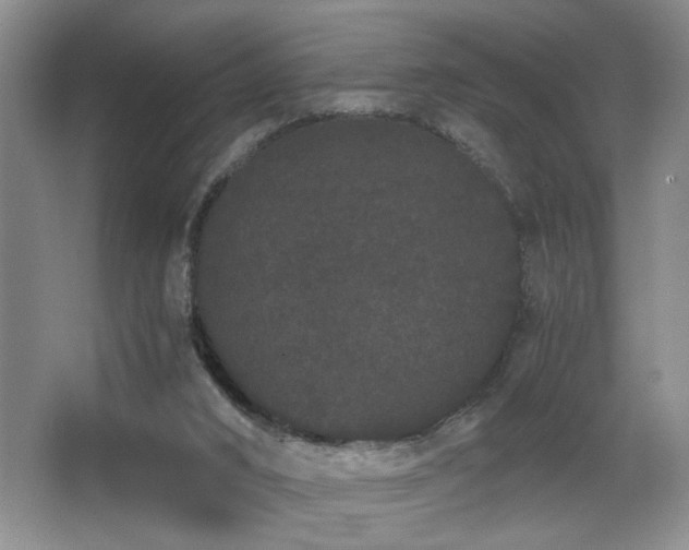 X0000063500016200601201424