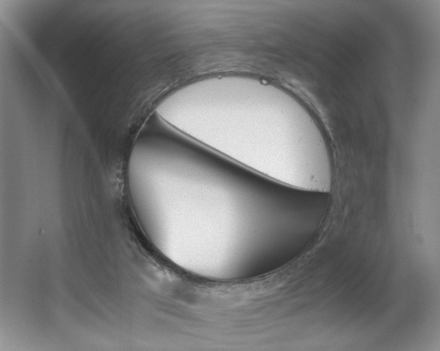 X0000063500017200601201424
