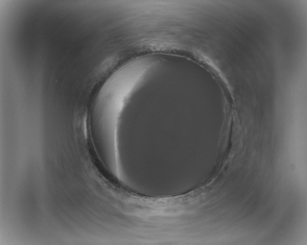 X0000063500019200601201424