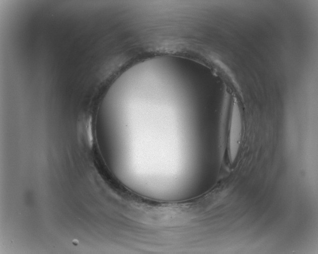 X0000063500020200601201424