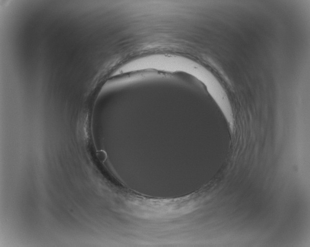 X0000063500023200601201424