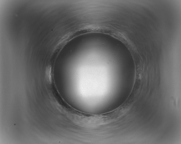 X0000063500024200601201424