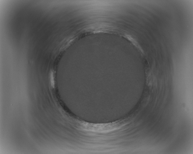 X0000063500026200601201424