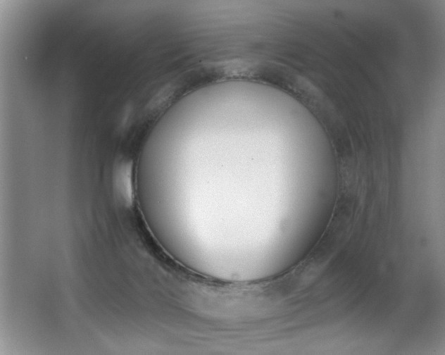 X0000063500028200601201424