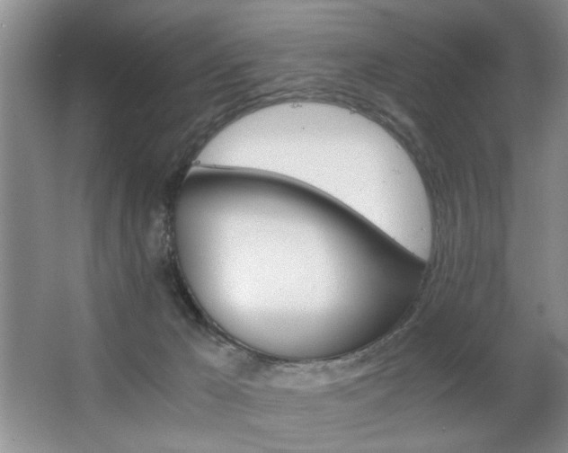 X0000063500029200601201424