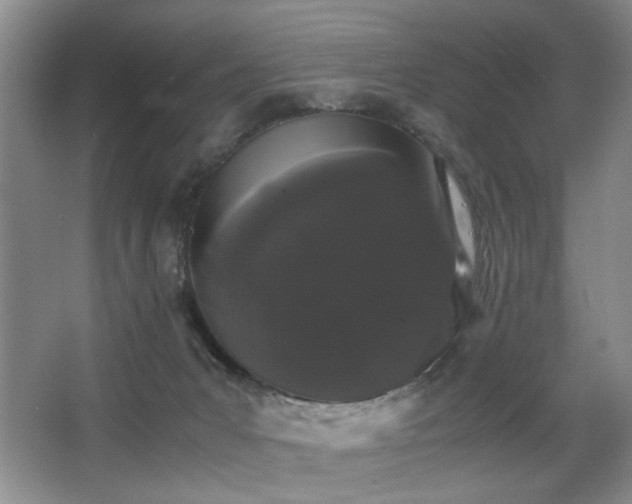 X0000063500031200601201424