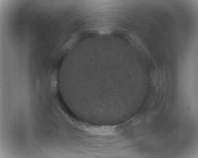 X0000063500032200601201424
