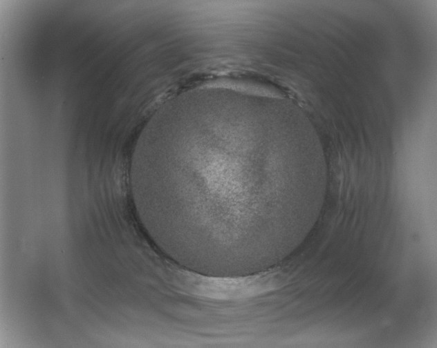 X0000063500034200601201424