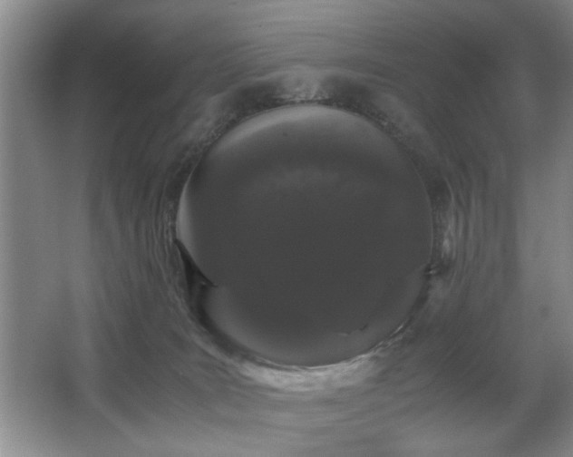 X0000063500035200601201424