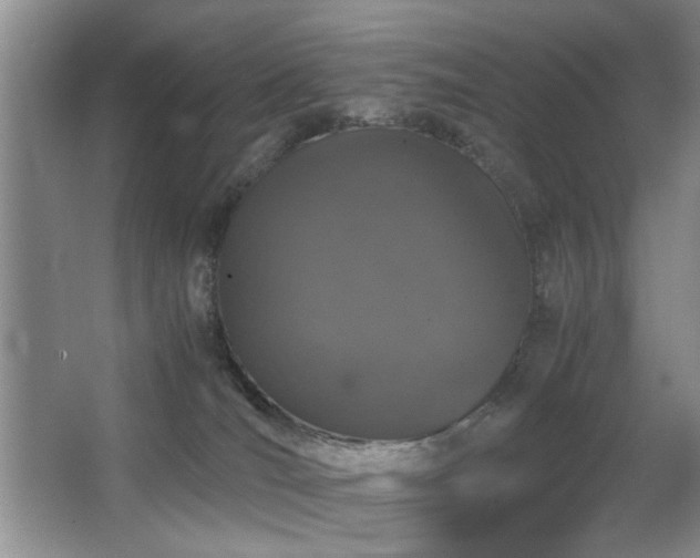 X0000063500036200601201424