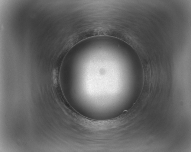 X0000063500038200601201424