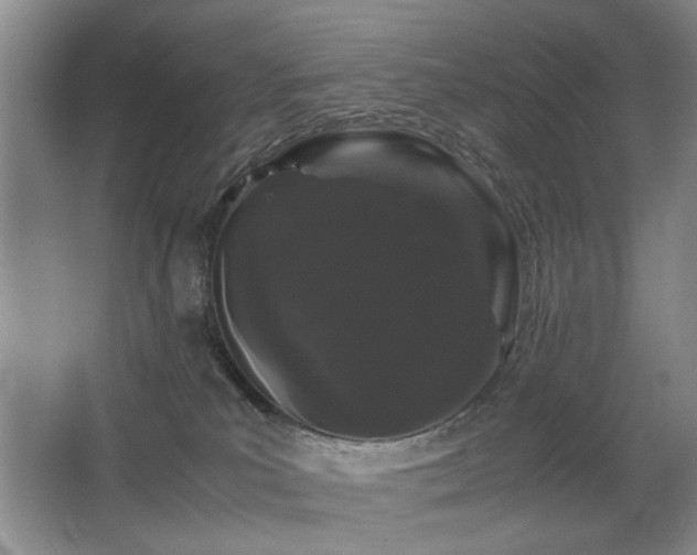 X0000063500039200601201424