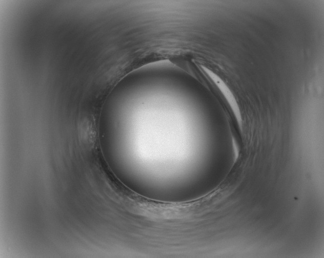 X0000063500040200601201424