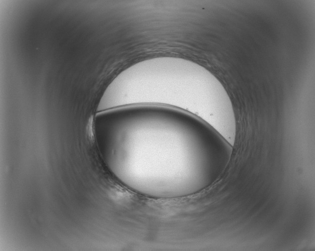 X0000063500041200601201424