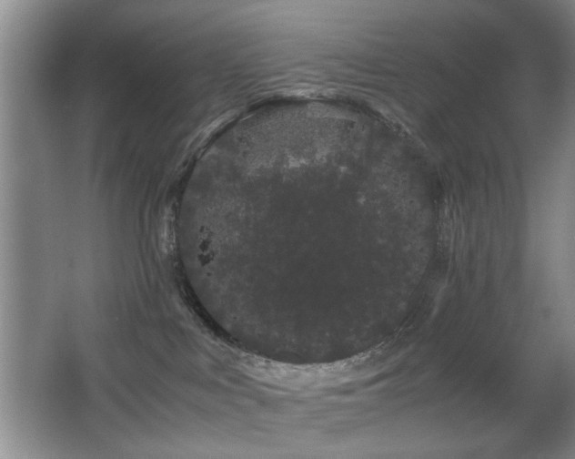 X0000063500043200601201424