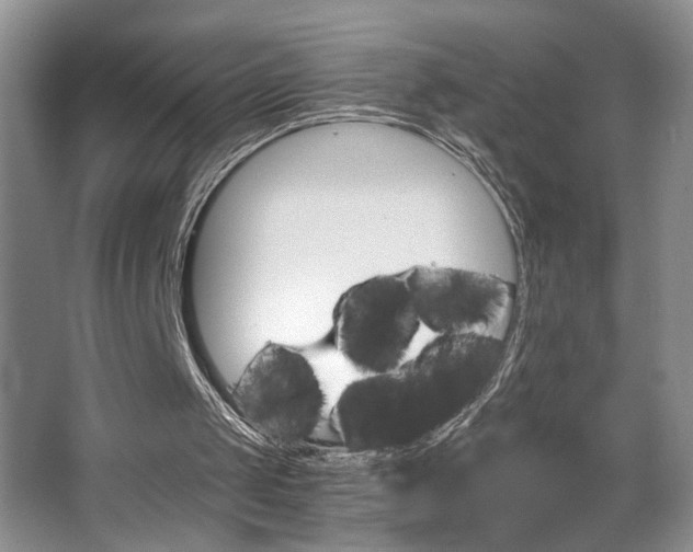 X0000063500049200601201423