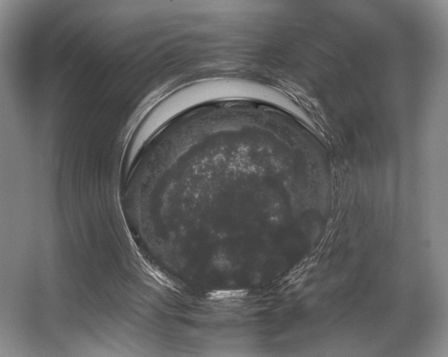 X0000063500051200601201423