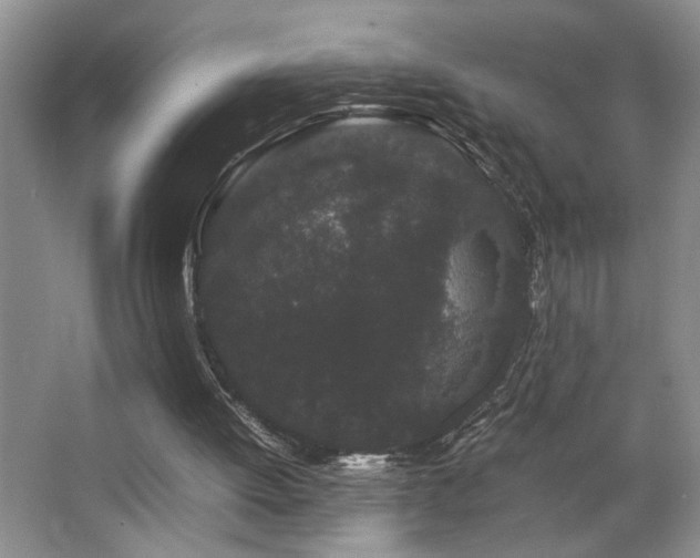 X0000063500052200601201423
