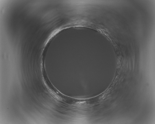 X0000063500054200601201423