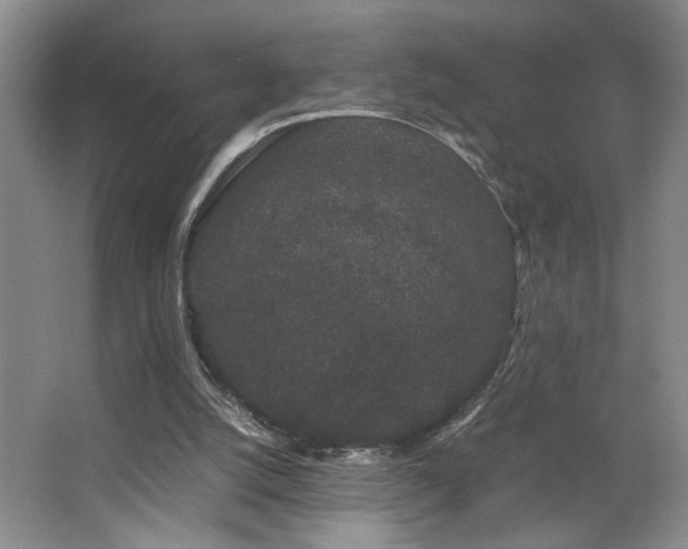 X0000063500056200601201423