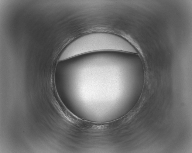 X0000063500057200601201423