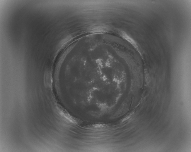 X0000063500059200601201423