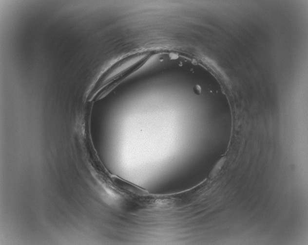 X0000063500060200601201423