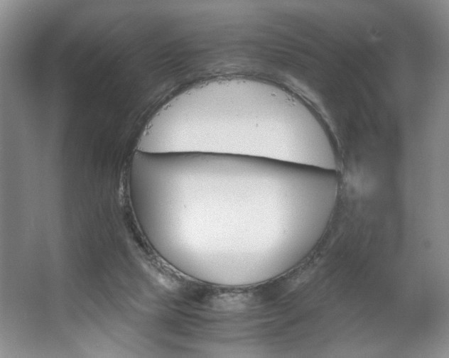 X0000063500065200601201423