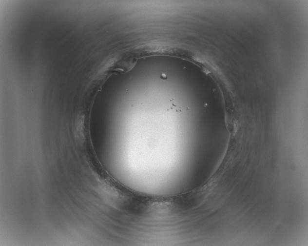 X0000063500066200601201423