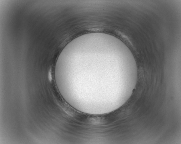 X0000063500069200601201423