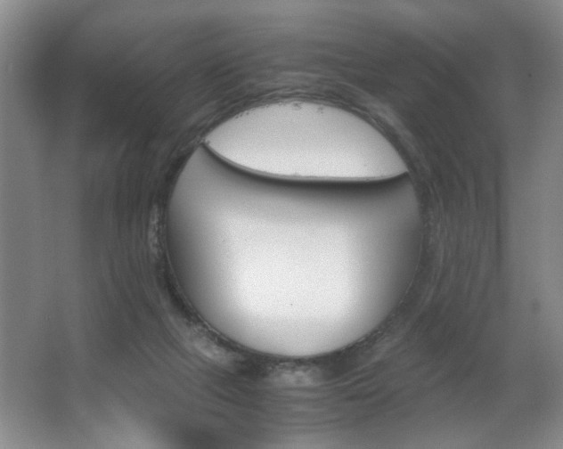 X0000063500073200601201423