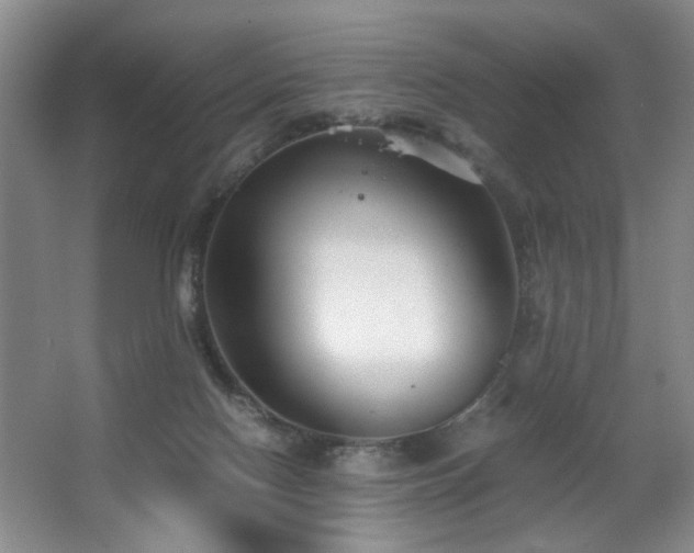 X0000063500074200601201424