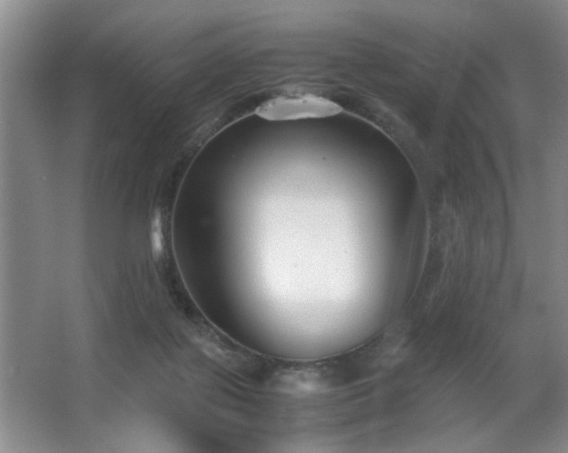 X0000063500075200601201424