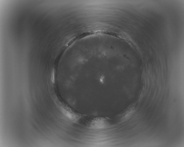 X0000063500076200601201424