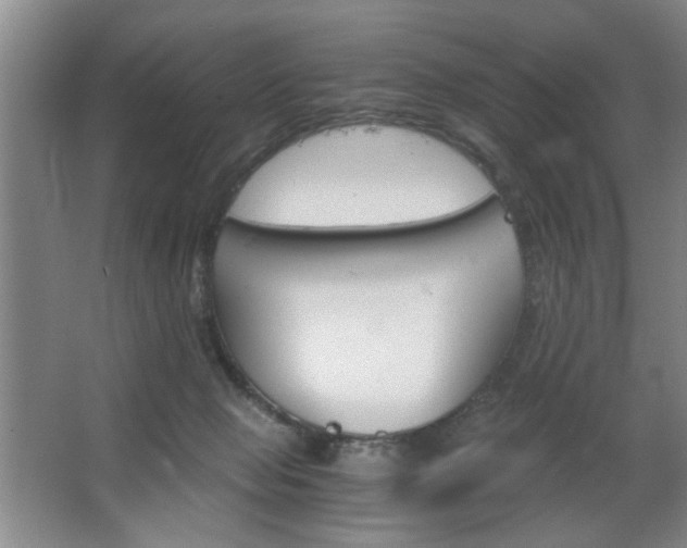 X0000063500077200601201424