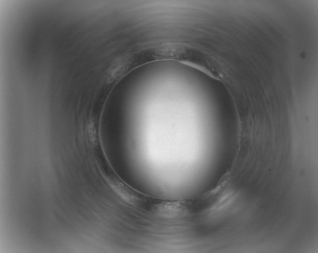 X0000063500086200601201424