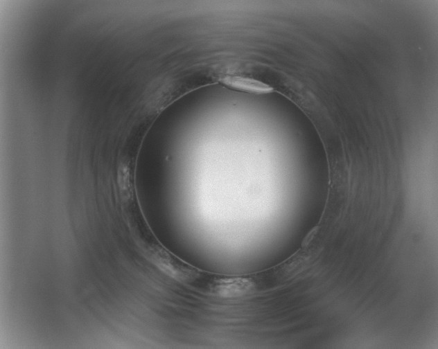 X0000063500087200601201424
