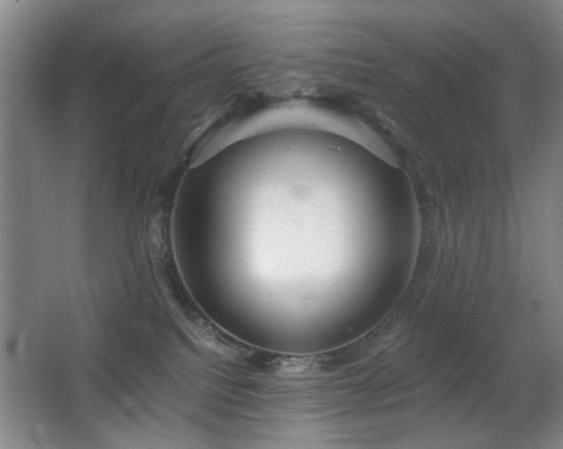 X0000063500088200601201424