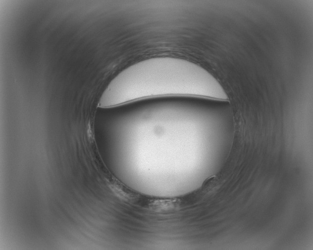 X0000063500089200601201424