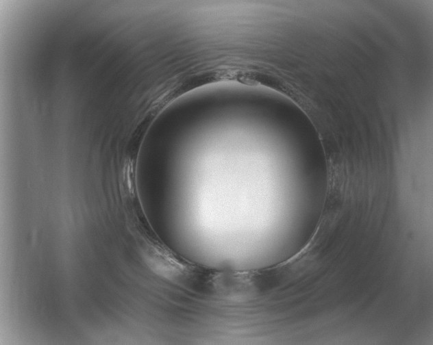 X0000063500094200601201424