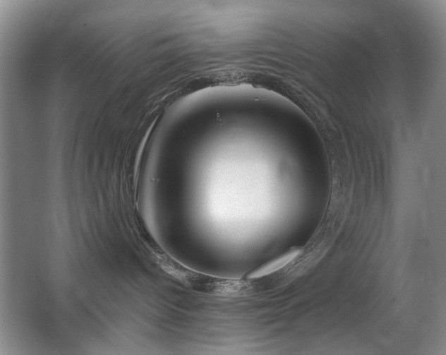 X0000063500096200601201424
