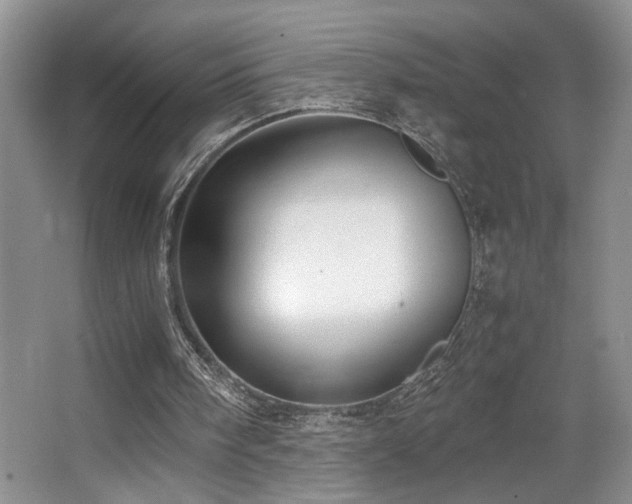 X0000063500098200601201423