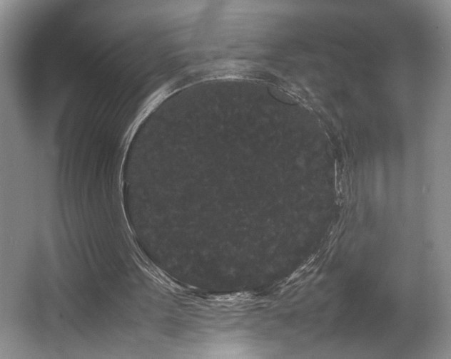 X0000063500099200601201423