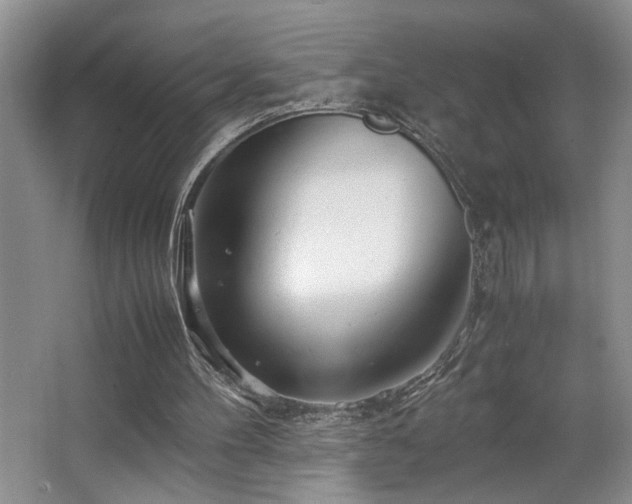 X0000063500100200601201423