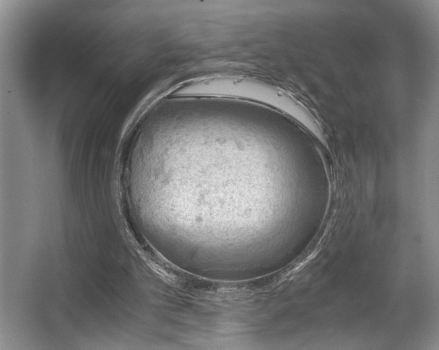 X0000063500101200601201423