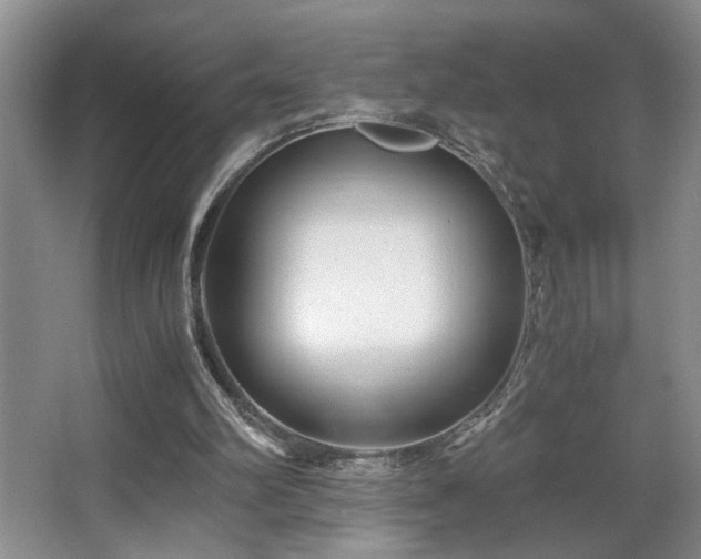 X0000063500102200601201423