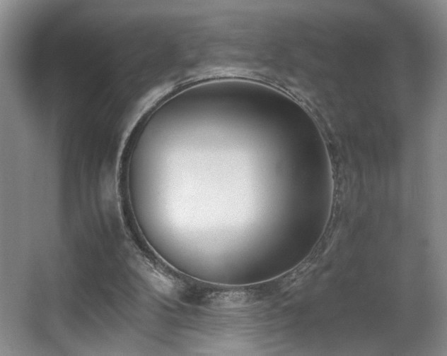 X0000063500104200601201423
