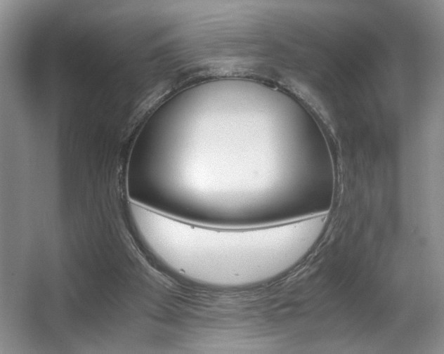 X0000063500105200601201423